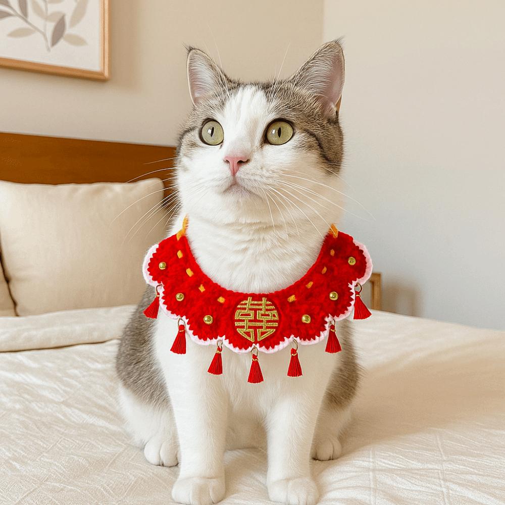 Schnürstil Katze Handgestrickter Schal Dekoratives Haustier Sabbertuch Neujahr Haustierhalsband Hochzeit