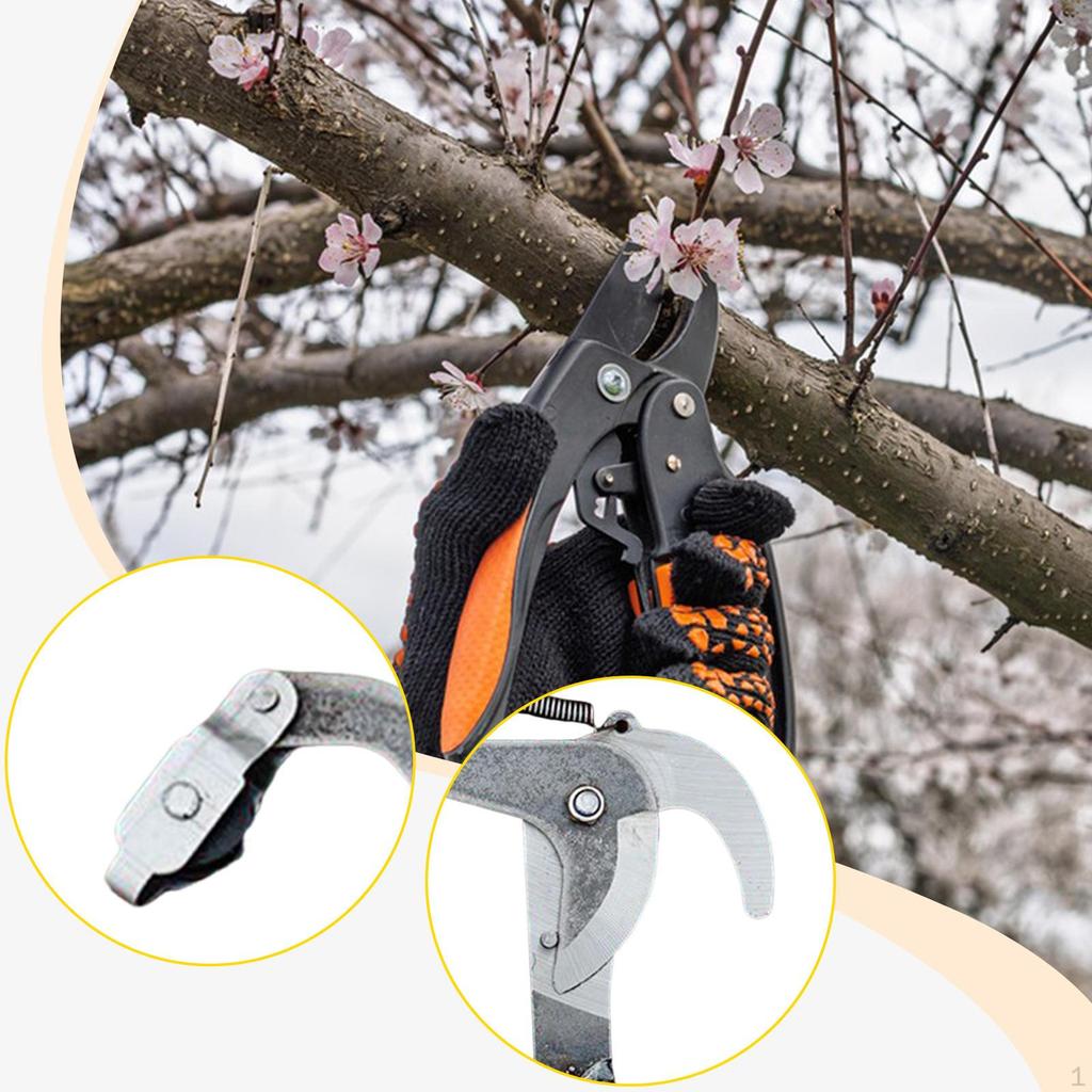 Tesoura de Poda de Alta Altitude Podador de Galhos Colhedor de Frutas Tesoura de Jardim Profissional Corda Incluída
