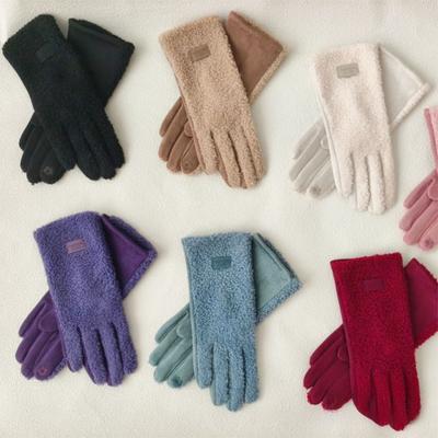 New Imitation Fleece Keep Warm Gloves Windproof Touch Screen Full Finger Gloves Cold Proof Thickened Mittens Winter
