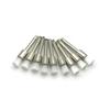 100 Teile/schachtel Dental Polieren Pinsel Weiß Nylon Latch Polierer Pinsel Flache Typ Zahnarzt Werkzeug Labor Material Zahnaufhellung Werkzeug