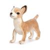 BH6295 HANSA Chihuahua 27