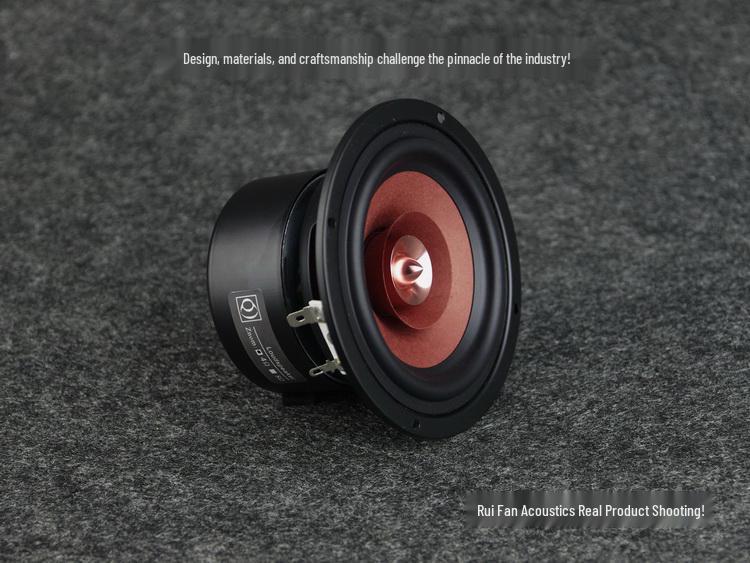 4-Inch Full-Range Speaker - Audiophile Quality for Vocals & Instruments - Excellent High, Mid, Low Frequencies | Ruifan Acoustics