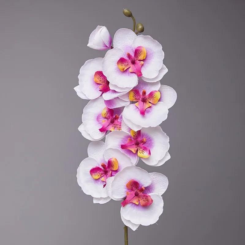 5pcs 9-Heads Artificial Butterfly Orchid Silk Flower 68CM Fake Phalaenopsis Wedding Home Decoration Artificial Flowers