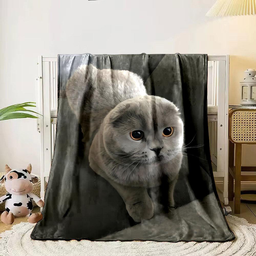 Rundes Gesicht Scottish Fold Katze Decke Schlafzimmer Decke für Wohnzimmer Sofa Mittagspause Weicher Überwurf für Freundes Festival Geschenk