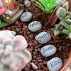Sugar House Miniature Fairy Garden Accessories – Garden Décor Accessories Home for Fairies (Fairy Saying Stepping Stones)