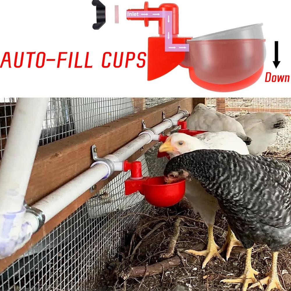 2-10PCS Chicken Drinking Bowl Plastic Automatic Filling Quail Poultry Water Dispenser Duck and Pigeon Free Range Chicken Waterer