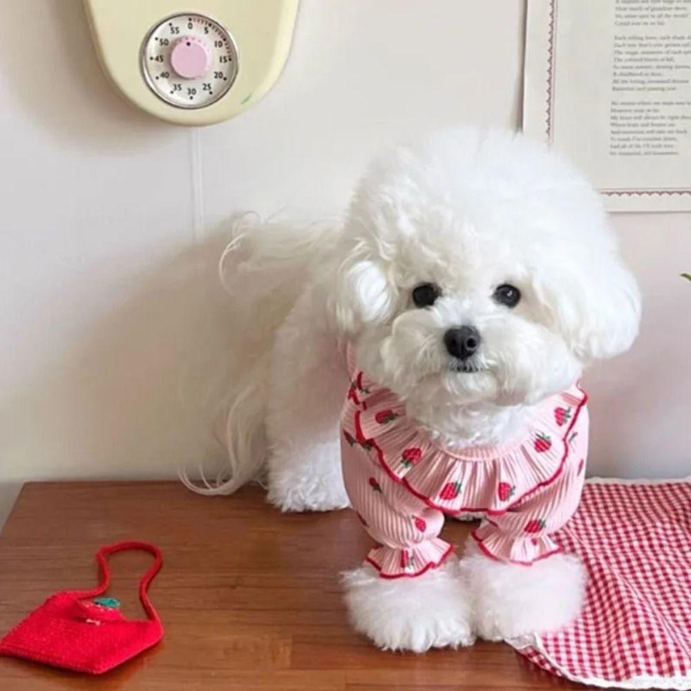 Fashion Pet Strawberry Base Shirt Soft Dog Vest Comfortable Pet Clothes  Spring