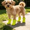 2pairs Waterproof Dog Rubber Boots Anti-slip Cat Puppy Foot Cover Portable Pet Shoes  Outdoor
