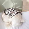 Colorful Stripe Puppy Shirt Cotton Pets Clothes New Spring Thin Vests  for Small Dogs