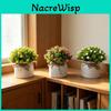 Full Sky Star Artificial Flower Pot For Home Decor And Photography Prop
