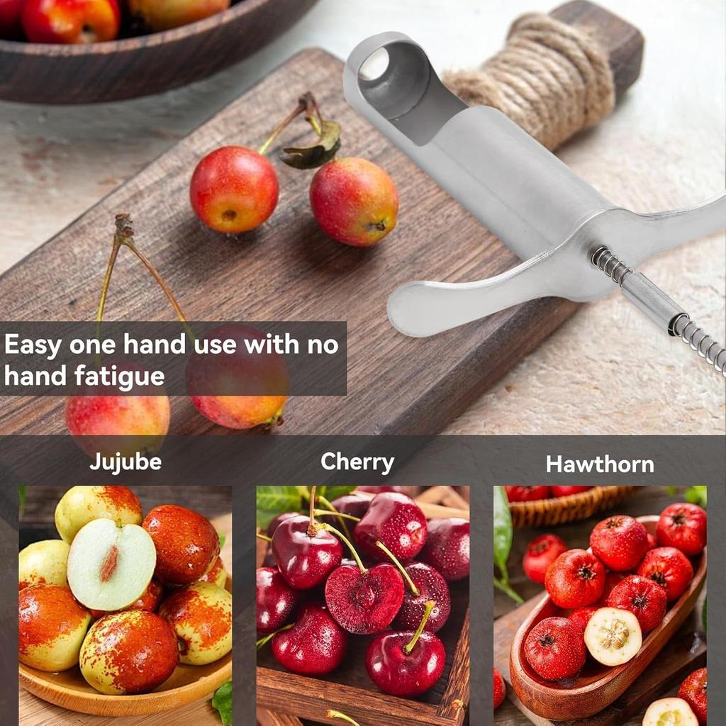 Red Dates Hawthorn Seeds Removing Tool, Reusable Grapes Seeds Removing Tool Stainless Steel Fruit Core Remover Tool for Red Dates Hawthorn Grape
