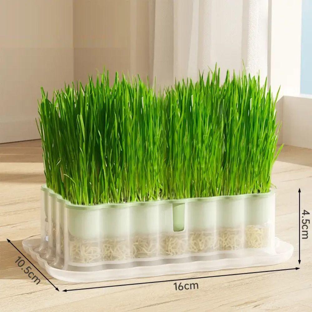Sprout Planting Helper Hydroponic Sprouting Plate Soilless Cultivation Cat Grass Dish