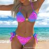 2026 European and American Split Leopard Print Bikini Print Fashionable Sexy Backless Swimsuit Suit Women