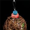 2PCS Cockatiel Conure Hanging Foraging Bird Chewing Toys Parrot Cage Shredder Toy