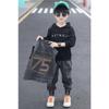 Boys' Autumn Suits Children's Net Red Fashion Children's Two-piece Children's Clothing