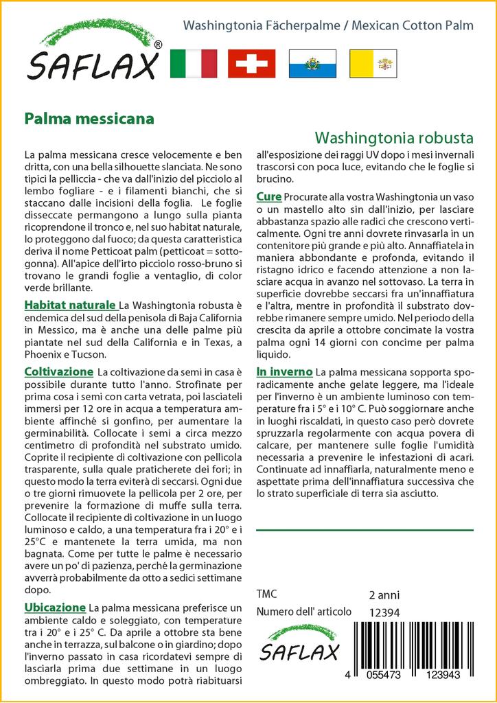 SAFLAX Mexikói gyapotpálma - 12 mag - cserepes szubsztrátummal a jobb termesztés érdekében - Washingtonia robusta
