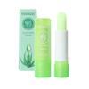 Aloe Vera Color-Changing Orange Lipstick - Moisturizing & Hydrating Anti-Chap Lip Balm