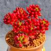 Decoração de casa – Flores e coroas artificiais