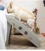 Foldable Pet Stairs: Non-slip Steps for Dogs & Cats - Ideal for Bedside, Sofa & Car