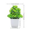 New Bonsai Artificial Bonsai Fake Plant with Pot Potted Ornaments Artificial Eucalyptus Potted Plant Table Decor