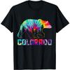 Colorado Ours Grizzly Tie Dye Fierté Extérieur Nature Vintage T-Shirt