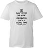 Halt mich nicht auf, ich habe so viel Spaß! Lustiger sarkastischer Slogan Herren T-Shirt