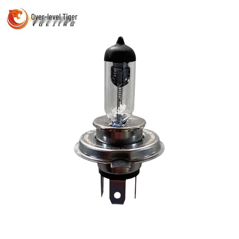 Yuejihou 24V 100W H4 Headlight Bulb (2-Pack)