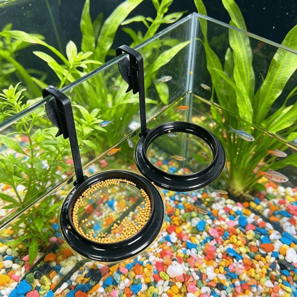 Anti Drifting Fish Feeding Ring Hanging Floating Food Tray Fish Tank Station Aquarium Decoration