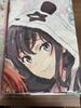 [USED] Oregairu Complete Bonus Acrylic Board Fabric Poster