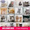 Cute Cat Pattern Decorative Pillowcase Living Room Office Decoration Home Pillowcase