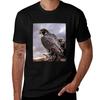 Peregrine Falcon Tshirt Daily Work Short Sleeve Top