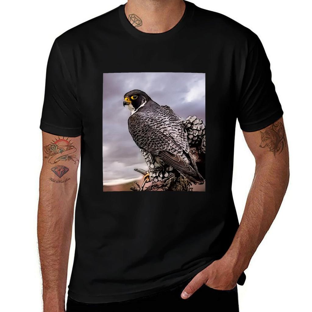 Peregrine Falcon Tshirt Daily Work Short Sleeve Top