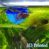 Floating Fish House Aquarium Shelter Arch Design Fish Hideout for Betta Guppy Goldfish Small Tank Pond Decor,Fish Rest Area