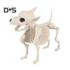 Halloween psí kostra Ornament Realistická plastová figurka zvířecích kostí pro halloweenskou vnitřní venkovní výzdobu party laskavosti
