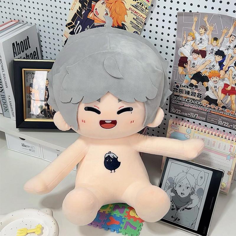 

Koushi Haikyuu Sugawara 40cm Plush Toy Cute Cartoon Girl Birthday Doll Gift