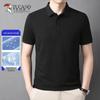 Men's Summer Quick-Dry Polo Shirt