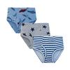 Boys' 100% Cotton Dinosaur Print Mid-Waist Underwear, 3-Pack