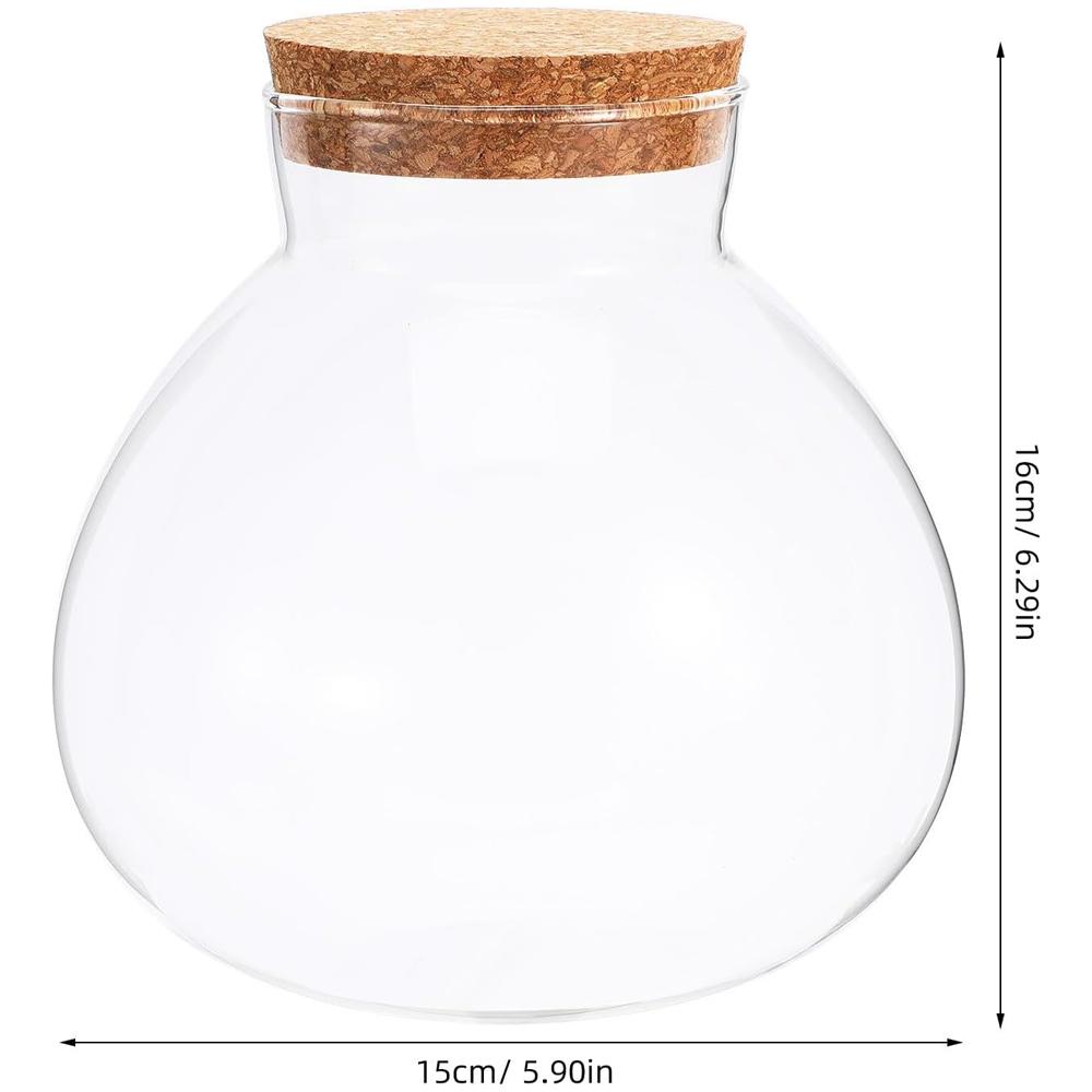 Glass Terrarium Jar with Cork Lid, 6x6.3 Inch Closed Terrarium for Succulent Moss and Fern DIY Miniature Desktop Garden for Home