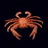 1Pc  Children's Fun Educational Marine Biology Simulation Model, Solid Crab, Blue-footed Crab Animal Toys