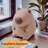 Slow Rebund Capybara Squeeze Toys Cartoon Fidget Sensory Toy New Decompression Toys  Kids Adults