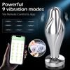 Bluetooth APP Anal Plug Vibrator Female Remote Control Clitoris Stimulator Metal Butt Plug Adult Supplies Sex Toys for Women