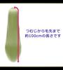 CaseEden Cosplay Wig, Premium Long, 100cm, Heat Resistant, Light Moss Green and Dull Green, WIG6179