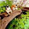 1pc Resin Fish Tank Fishing Cat Hanging Creative Landscape Home Office Ornaments Fishing Fun Mini Decorative Micro-Landscape