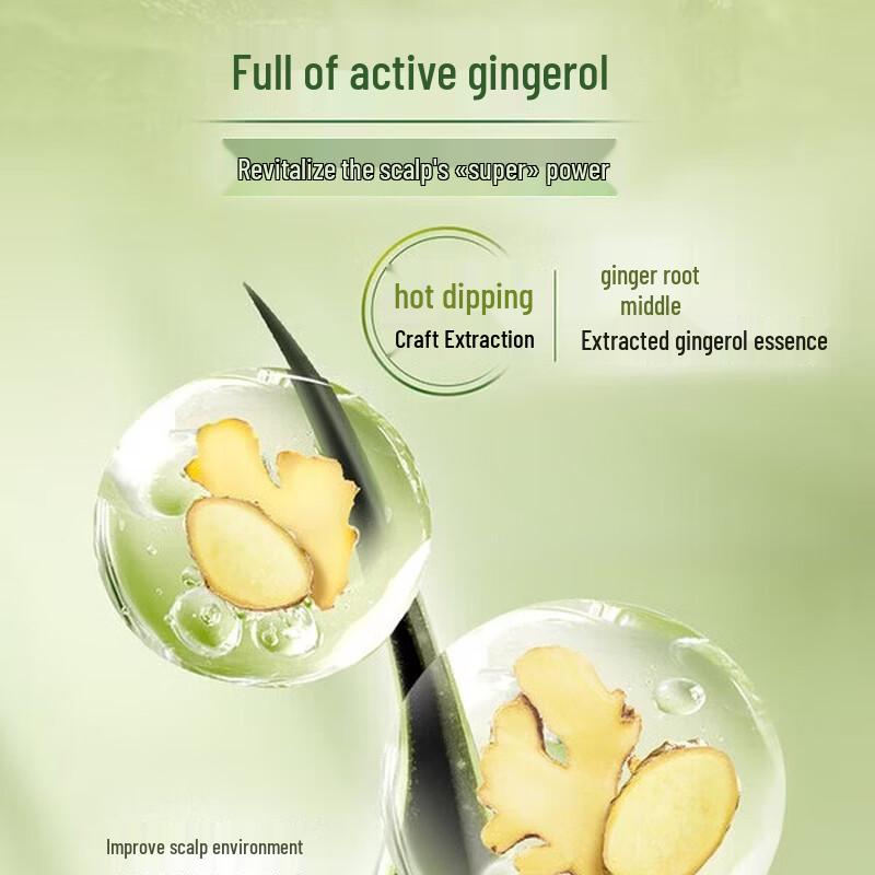 Schwarzkopf Ginger Essence Scalp Repair Oil Control Shampoo