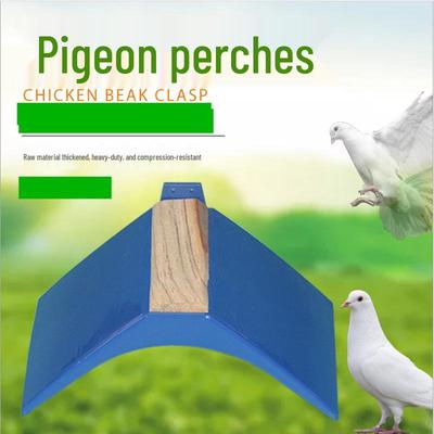 Plataforma Percha para Palomas: Soportes de Madera y Plástico para Palomas Mensajeras
