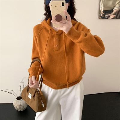 Casual High-end Pullover Sweater for Women's Outerwear Autumn and Winter New Loose Solid Color Hooded Short Knitted Top