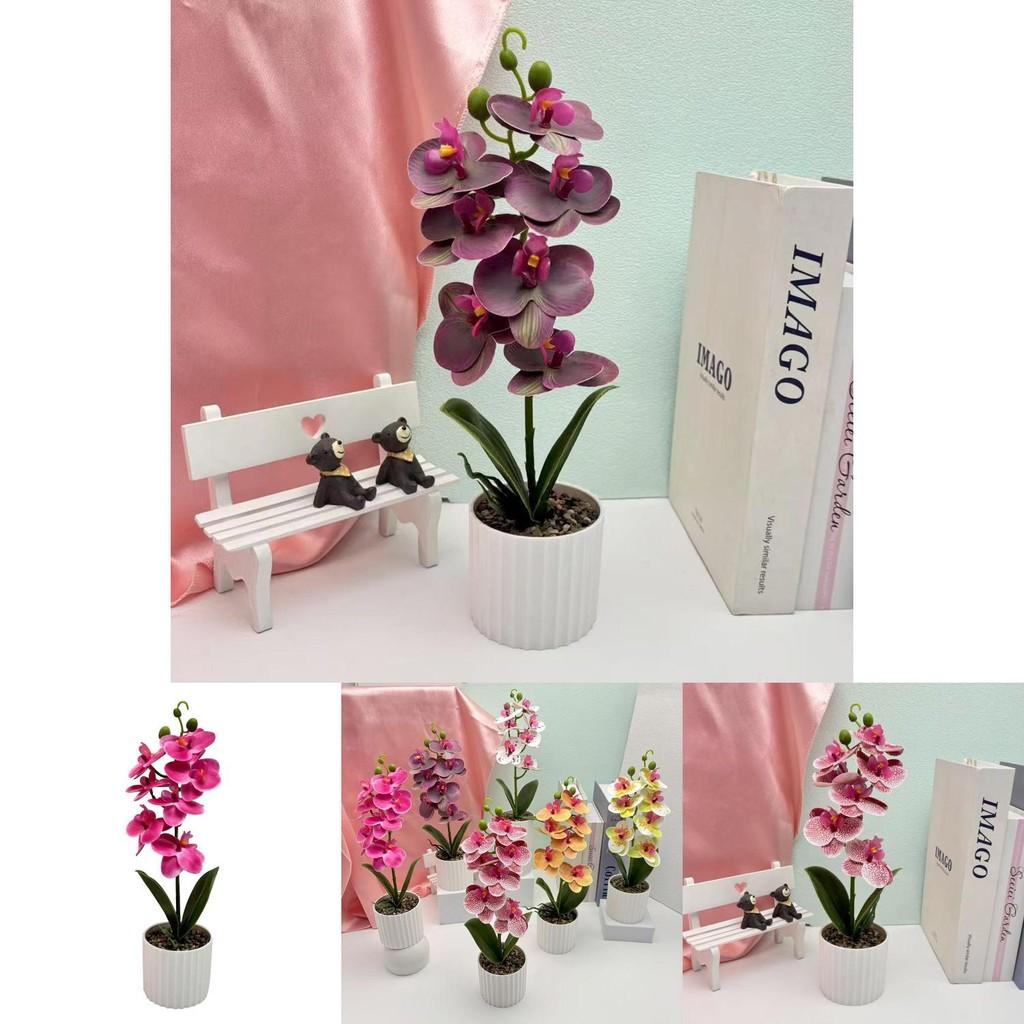 Faux Butterfly Orchid Floral Arrangement For Party Decorations And Home Styling