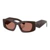 Temple Logo Design Acetate Square Sunglasses Women's Brown