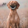 Halloween Pet Costume Hell Hound Muzzle for Dogs, Scary Natural Latex Beast Mask Themed Party Dog Attire with Adjustable Straps, Cosplay And