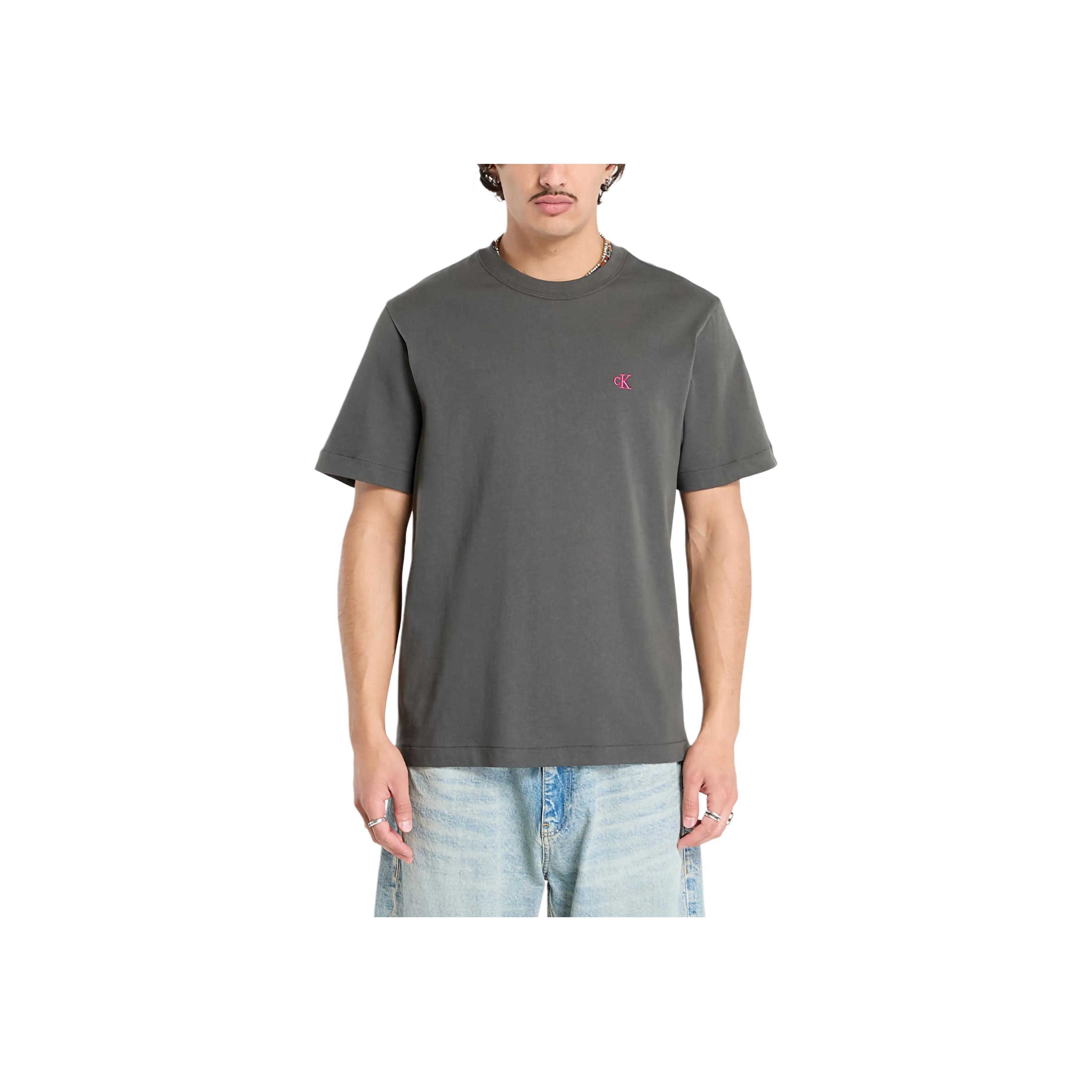 Calvin Klein Letter Round Neck Pullover Short Sleeve T-Shirt Men tops LV04RC275G-PAR L